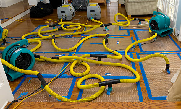 Professional Water Extraction technician working in South Easton, MA